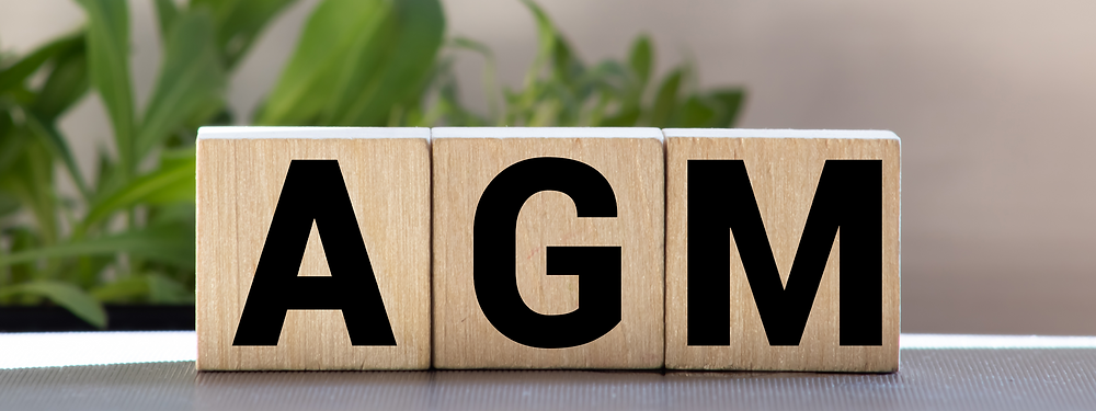 Annual General Meeting 2021